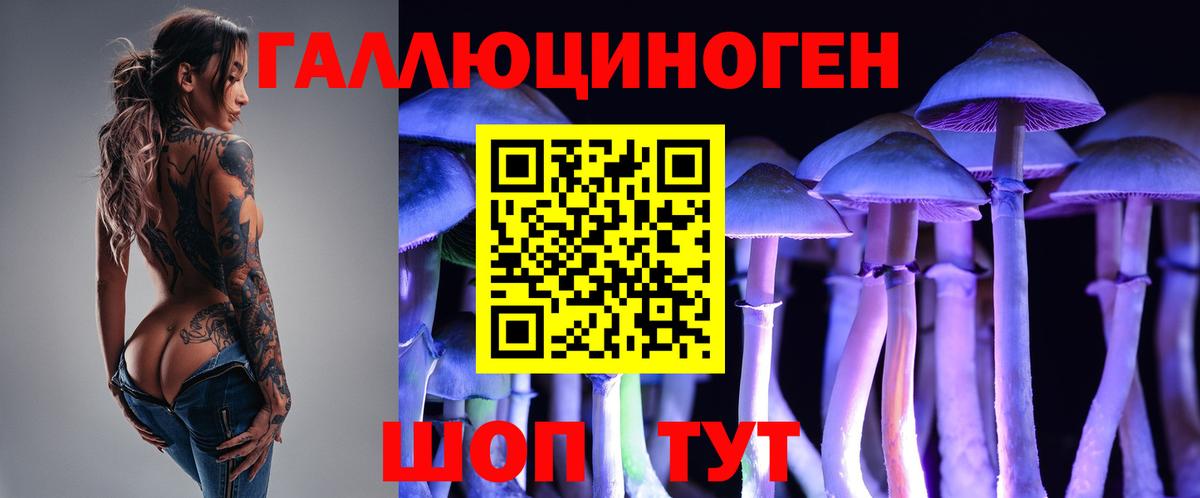 Псилоцибиновые грибы Cubensis  Вход с VPN  Прокопьевск 